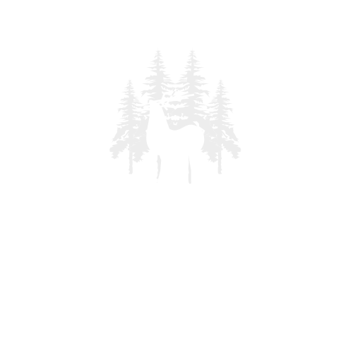 Quinta de São Gonçalo - Padel